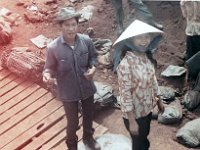 Happy Workers